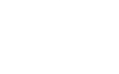 Donau Sportboot Charter Logo (weiß)