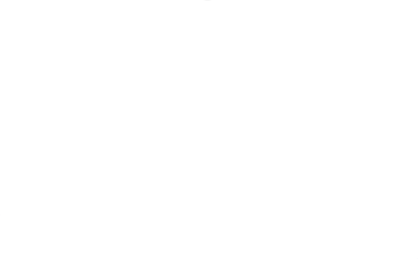 Donau Sportboot Charter Logo (weiß)
